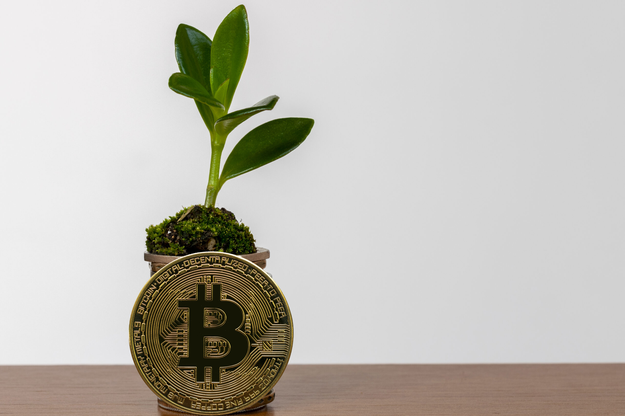 Коррекция как точка опоры: биткоин готовится к новому росту