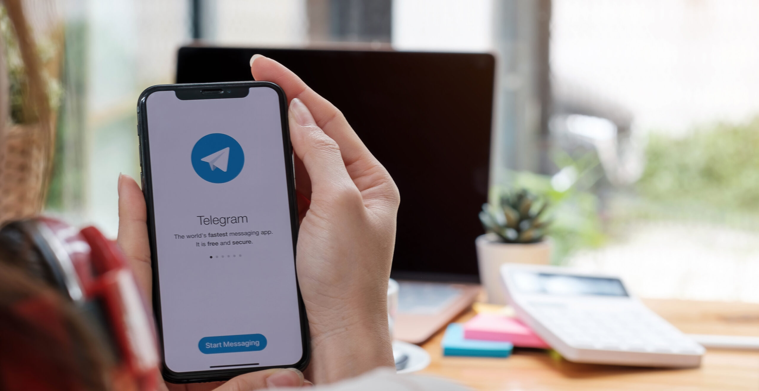 Сообщество «РБК Крипто. Форум» в Telegram: обзор активностей и возможностей