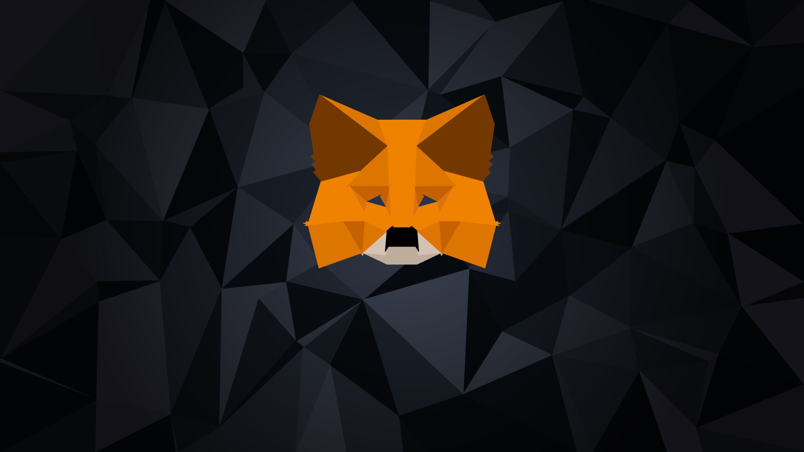 MetaMask и возможность запуска токена: осторожный оптимизм на фоне политических сдвигов