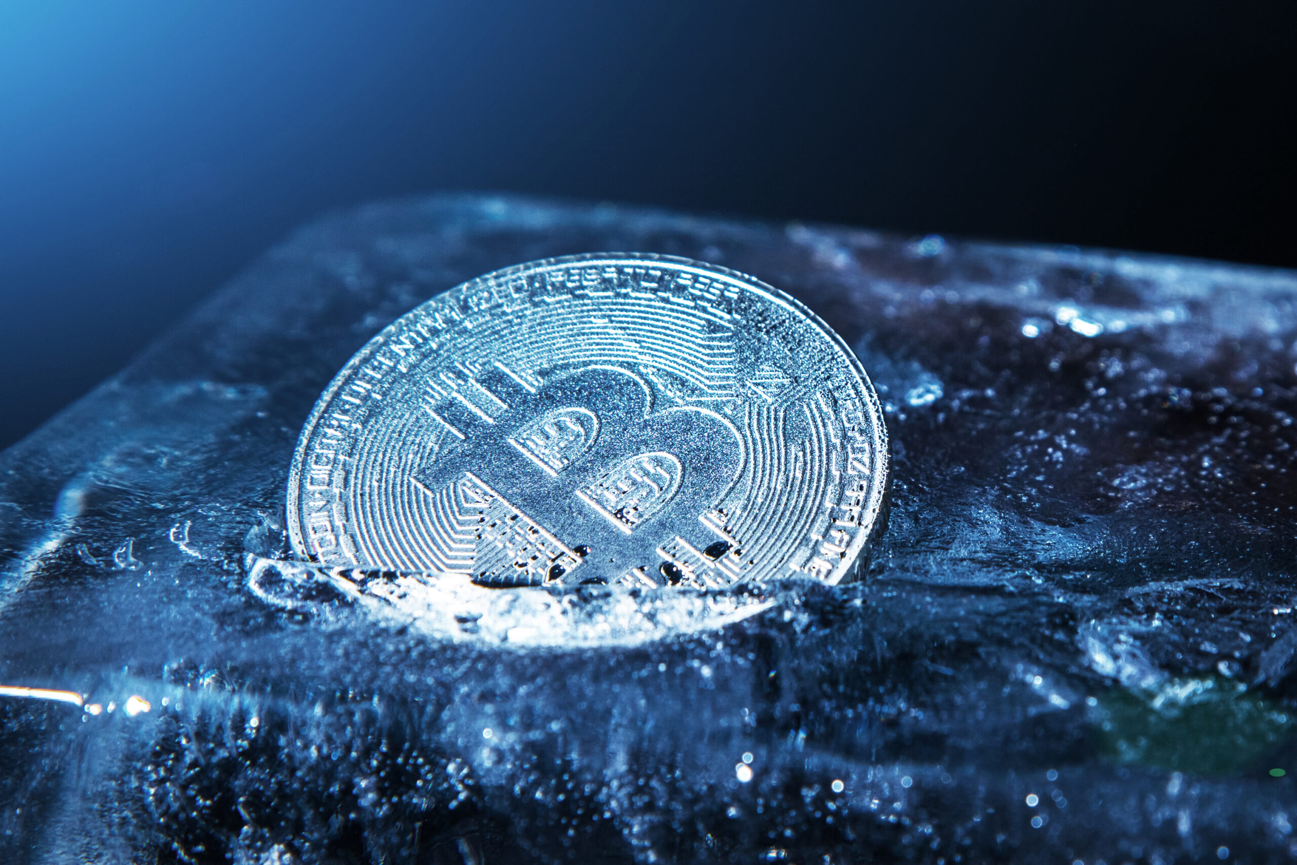 Coinbase выбрала стабильность: почему компания не вложила миллиарды в биткоин
