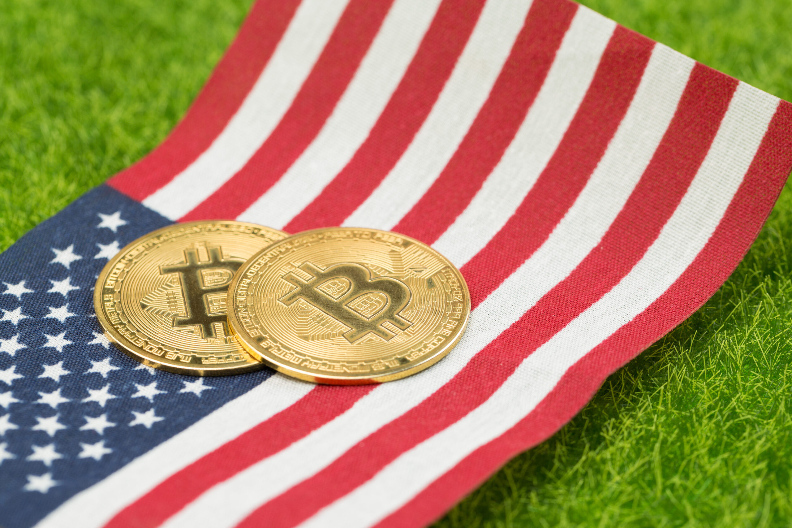 Bitwise: Прогресс крипторынка зависит от Конгресса, не только от Белого дома