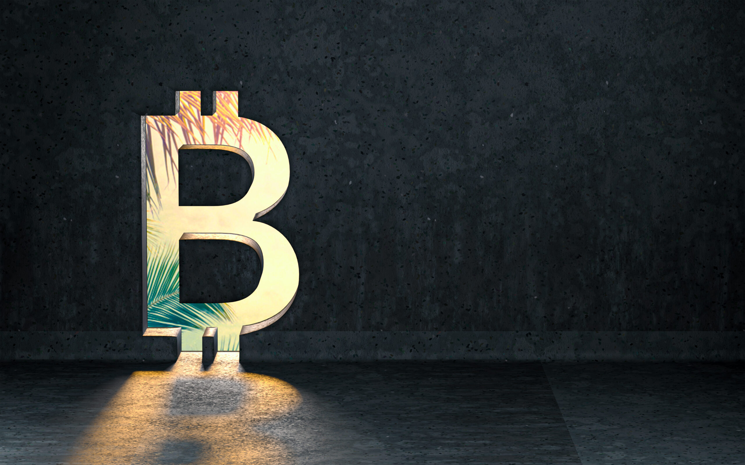 Bybit выходит на рынок гибридных DEX: революция скорости и прозрачности на базе Solana