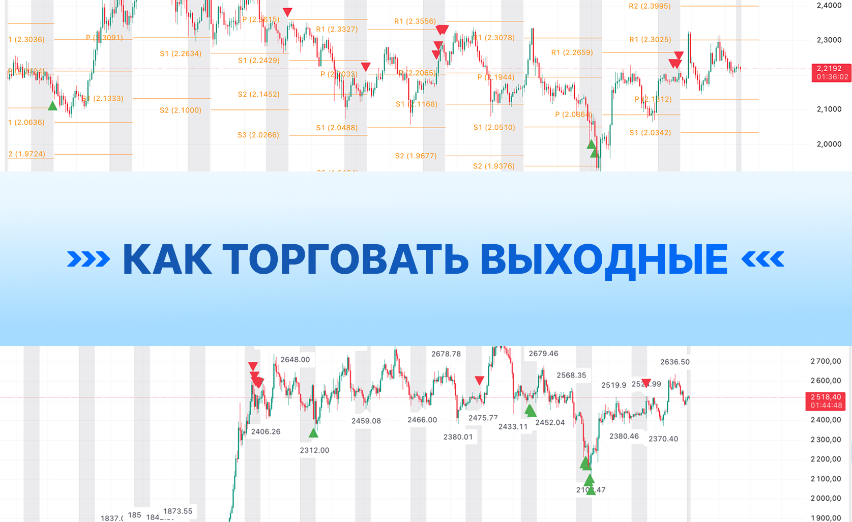 Торговля криптовалютой на выходных: риски, стратегии и лучшие инструменты