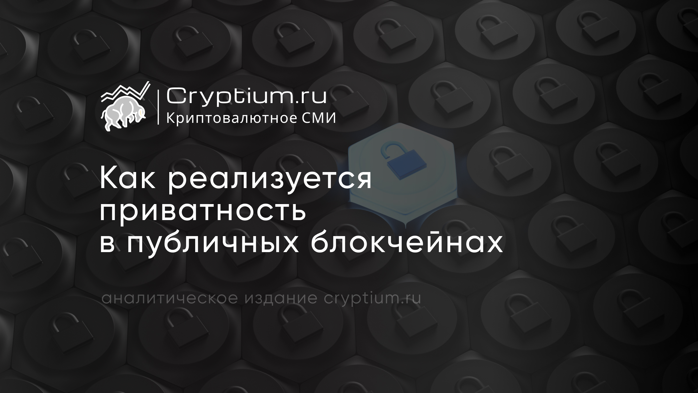 Как реализуется приватность в публичных блокчейнах