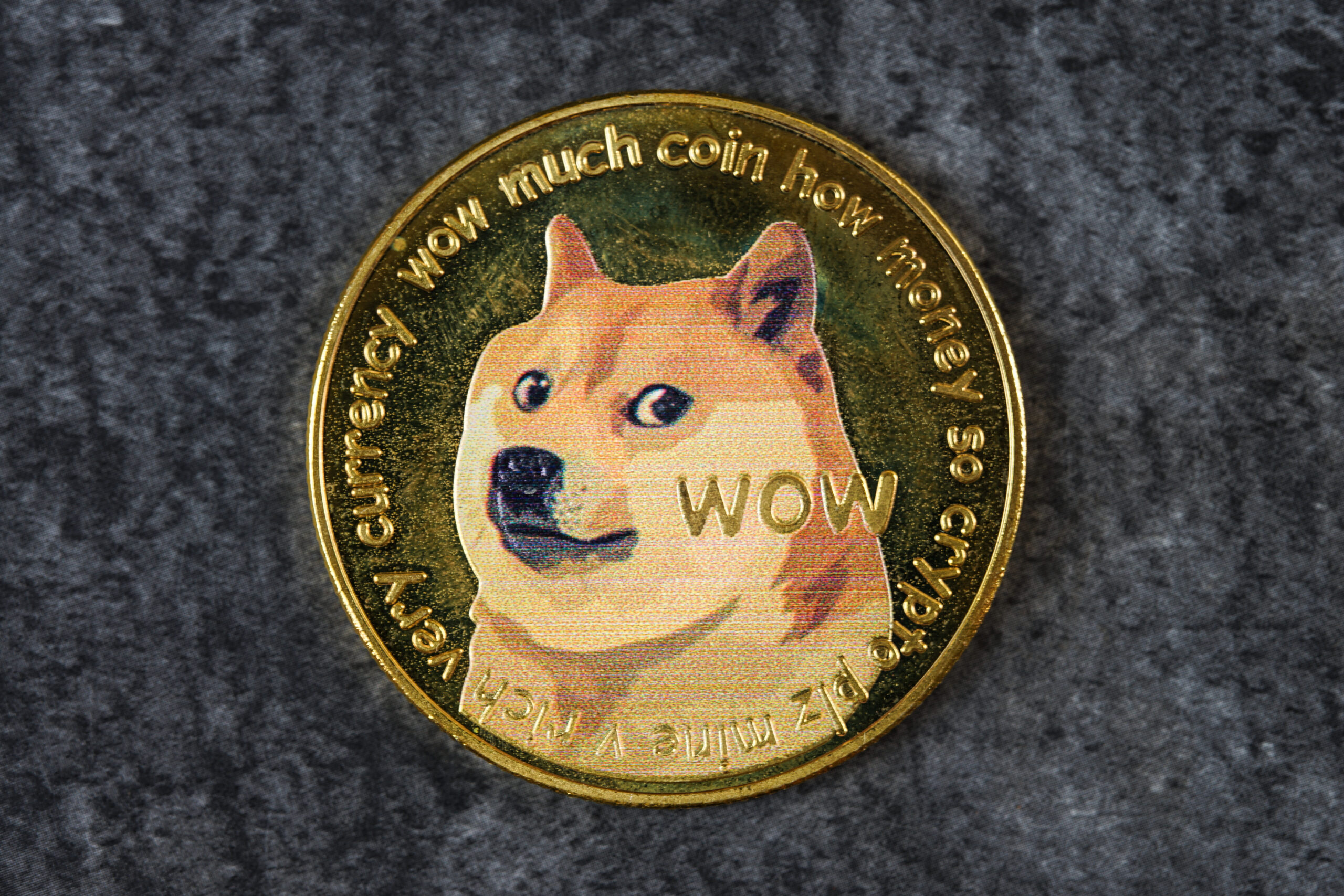Dogecoin создает стратегическую структуру управления — Dogecoin Treasury