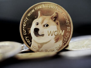 Dogecoin поддержит ZK-доказательства через OP_CHECKZKP