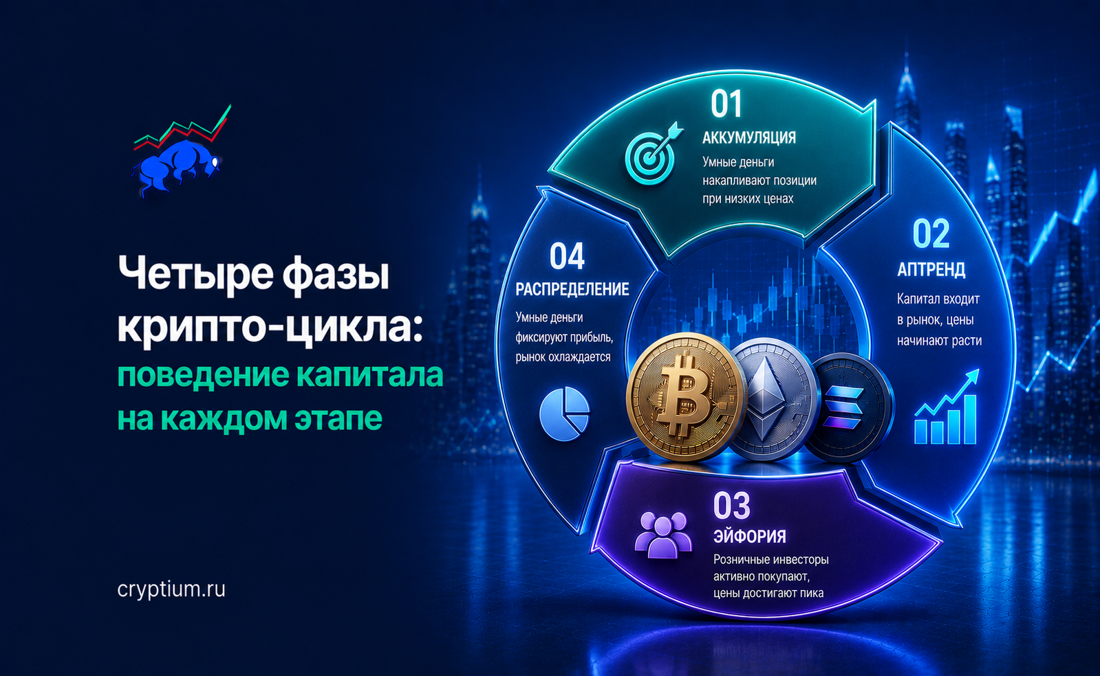 Четыре фазы крипто-цикла: поведение капитала на каждом этапе