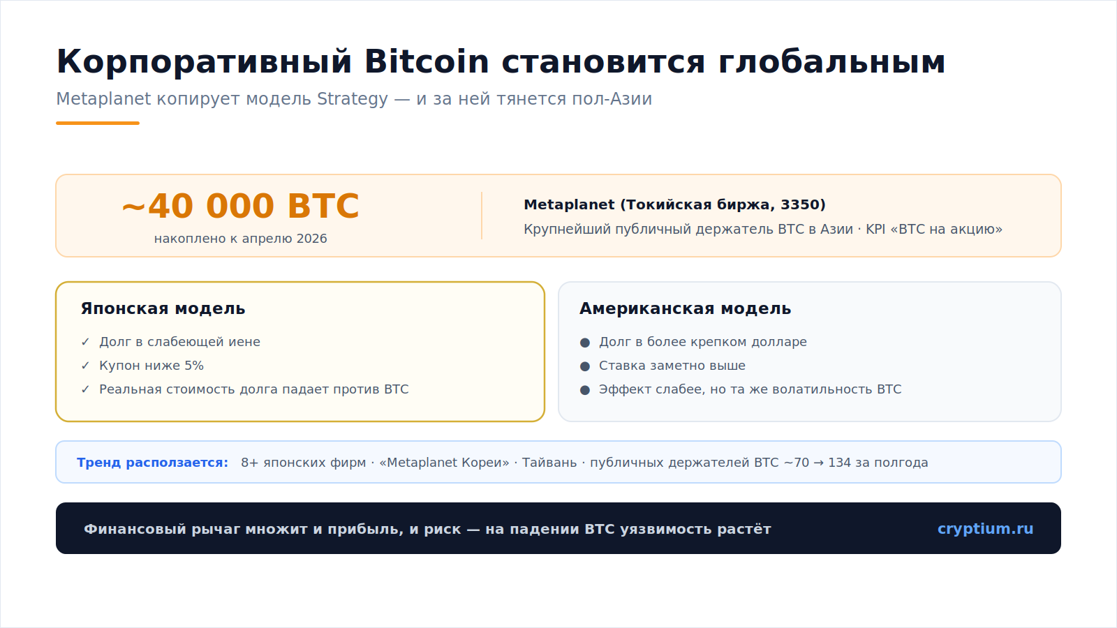 Японский MicroStrategy(image)