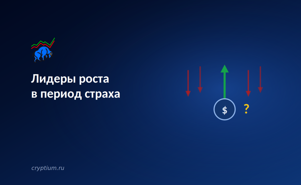 Лидеры роста в период страха: механика опережающей доходности отдельных активов на падающем рынке