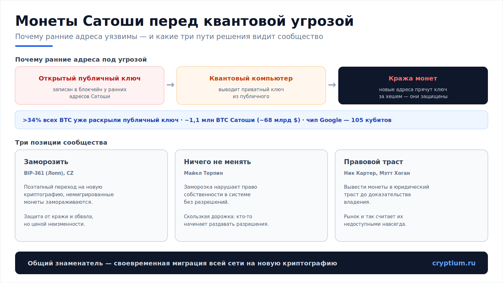 Заморозка Сатоши(image) (1)