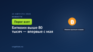Монета крупным планом — к материалу о прохождении биткоином отметки в 80 тысяч долларов