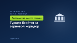 Турция берётся за зерновой коридор