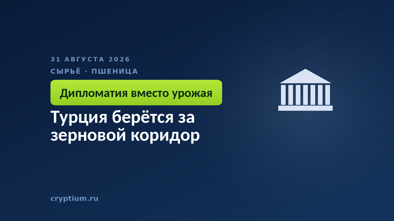 Турция берётся за зерновой коридор