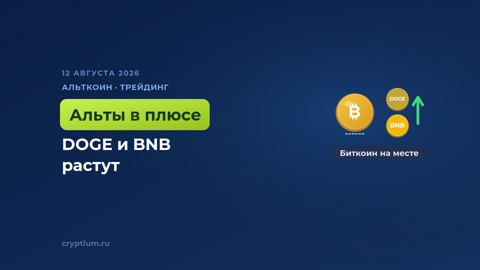 Dogecoin и BNB лидируют среди крупных монет, а биткоин стоит у 63 тысяч