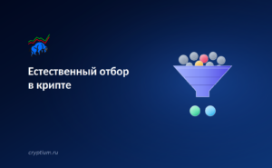 Естественный отбор в крипте: какие проекты выживают в медвежьем рынке — обложка разбора Cryptium