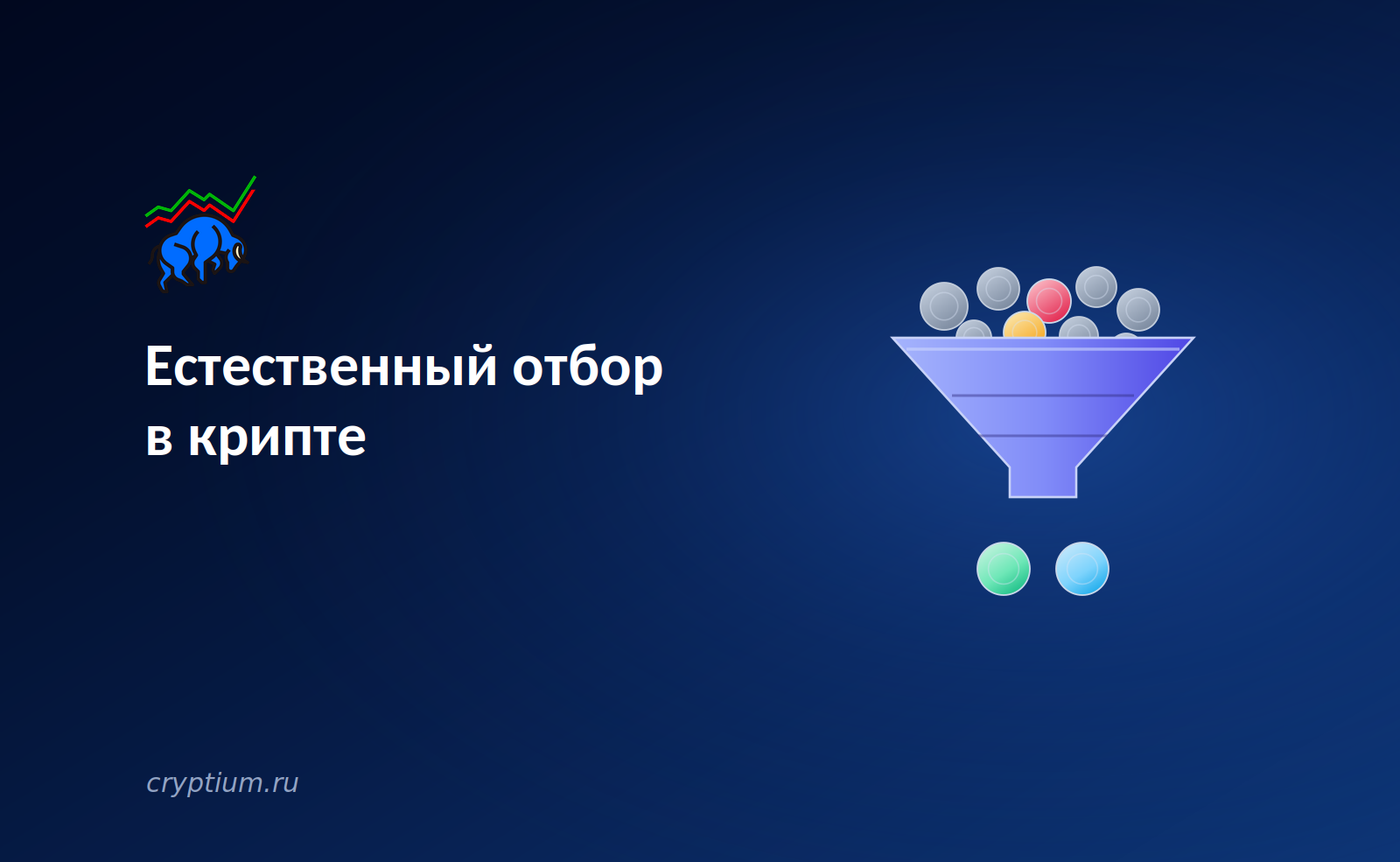 Естественный отбор в крипте: какие проекты выживают в медвежьем рынке — обложка разбора Cryptium