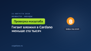 Аналитическая лупа над данными — образ проверки заявленного масштаба вложения