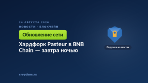Щит как символ защиты — обновление закрывает приём повторяющихся подписей при межсетевой проверке