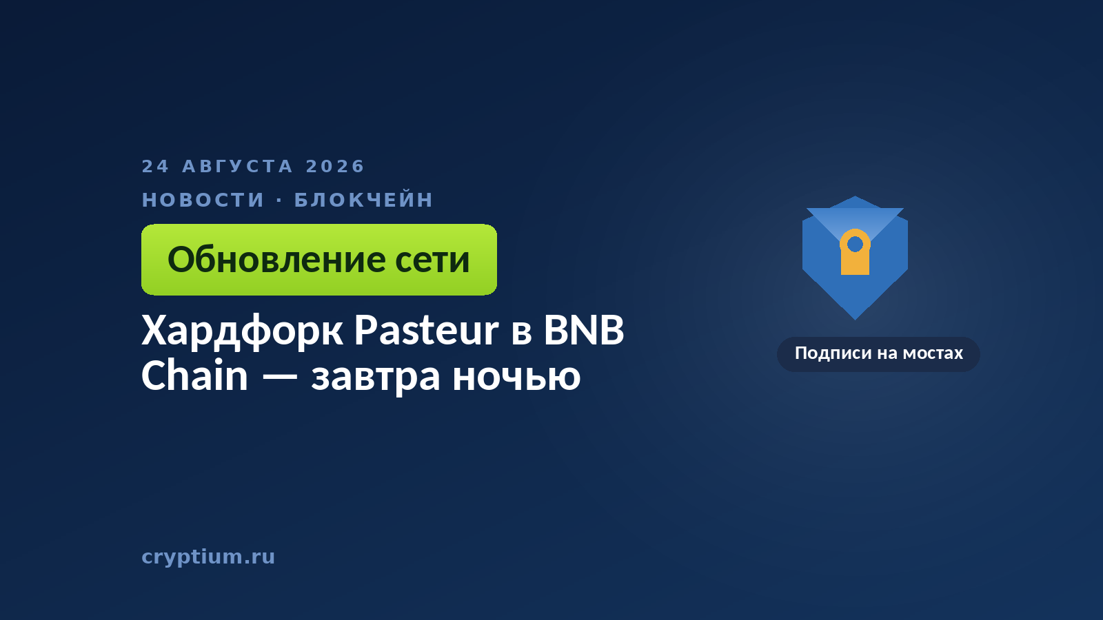Щит как символ защиты — обновление закрывает приём повторяющихся подписей при межсетевой проверке