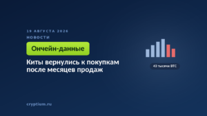 Тёмно-синяя обложка Cryptium с биржевым графиком — к материалу о поведении крупных держателей на тонком рынке