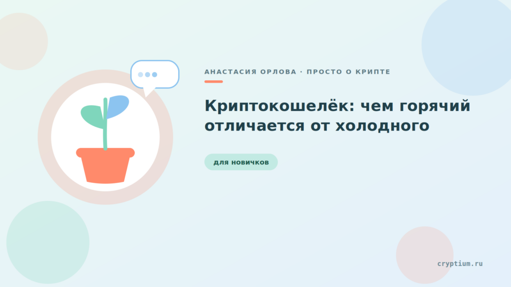 Иллюстрированная карточка с ростком в горшке и речевым пузырём — обложка статьи о криптокошельках