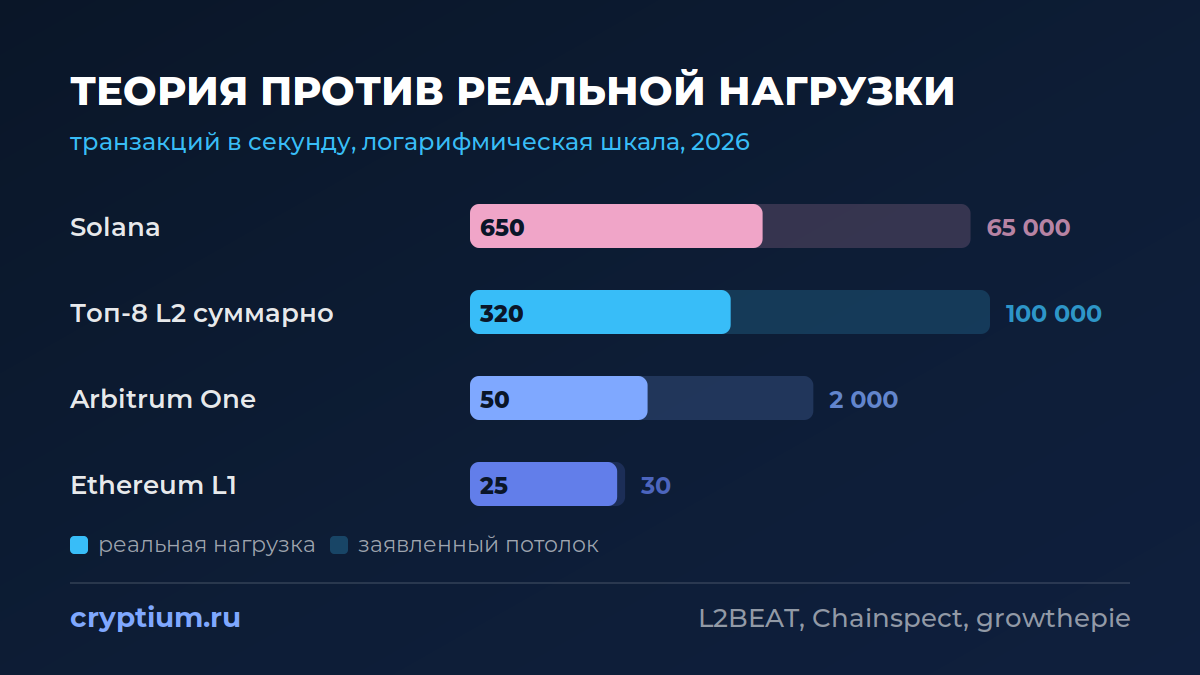 Сравнение TPS 2026: Solana 65 000 против 650 реальных, топ-8 L2 320 TPS, Ethereum L1 25
