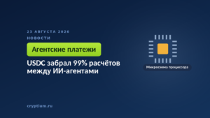 Микросхема процессора — к материалу о расчётах между программами и доле одного стейблкоина в них
