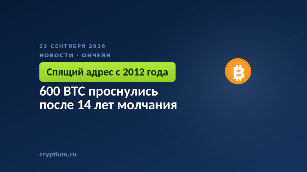 Монета на тёмном фоне — пробуждение адреса ранних лет сети
