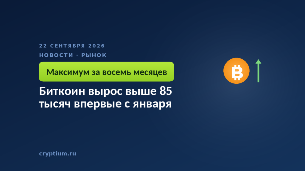 Растущий график с монетой — выход цены к восьмимесячному максимуму
