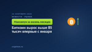 Растущий график с монетой — выход цены к восьмимесячному максимуму