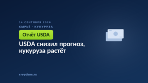USDA снизил прогноз, кукуруза растёт
