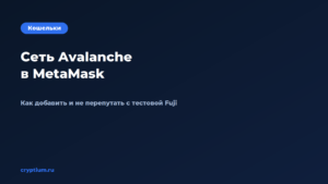 Обложка материала «Как добавить сеть Avalanche в MetaMask и переключаться между сетями»