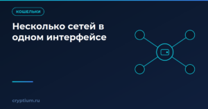 Как хранить активы нескольких сетей в одном интерфейсе