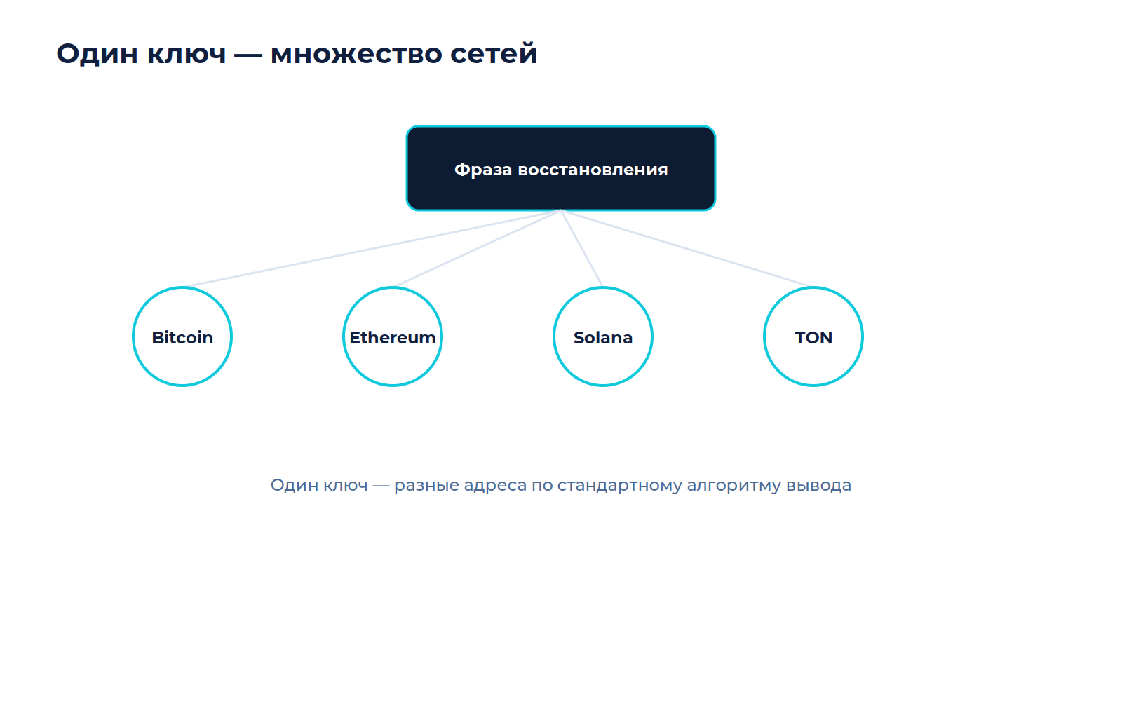 Схема к материалу «Как хранить активы нескольких сетей в одном интерфейсе»