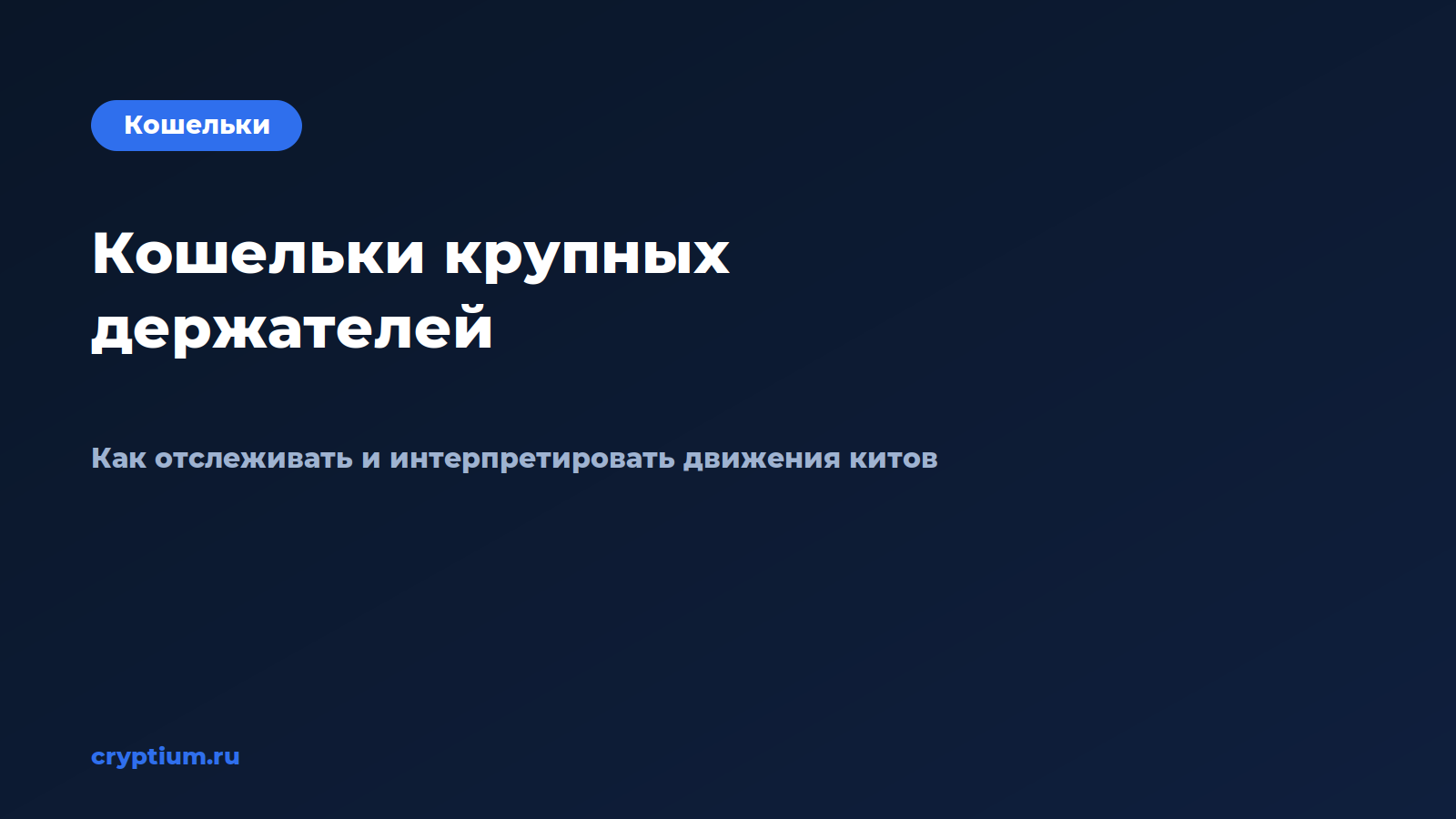 Обложка материала «Как отслеживать кошельки крупных держателей и интерпретировать их движения»
