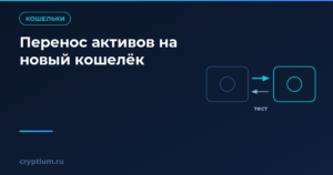 Два кошелька со стрелками переноса и обратного тестового перевода