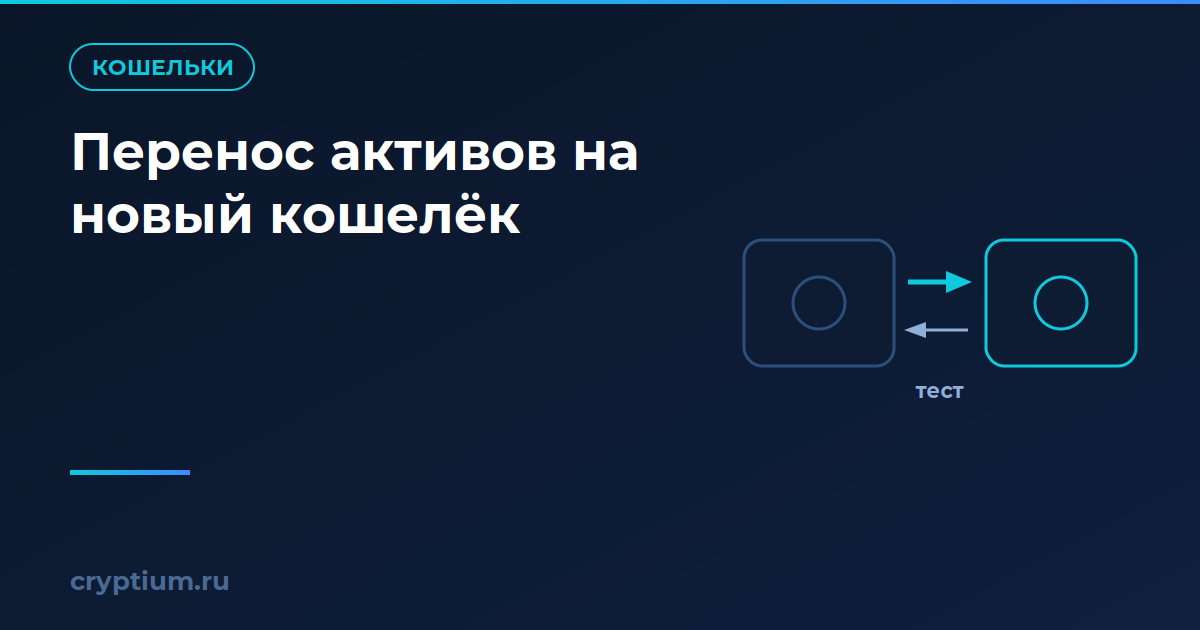 Два кошелька со стрелками переноса и обратного тестового перевода