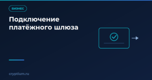 Как подключить платёжный шлюз
