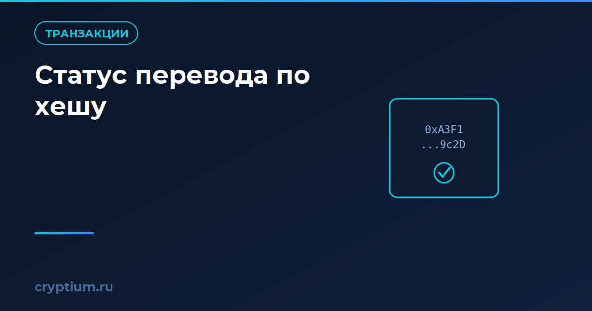 Как проверить статус перевода по хешу