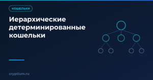 Как работают иерархические детерминированные кошельки