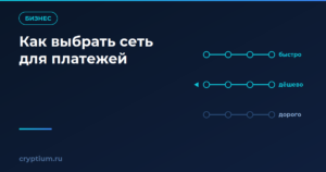 Три маршрута платежа с узлами сети и пометками стоимости