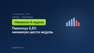 Пшеница 6,83: минимум шести недель