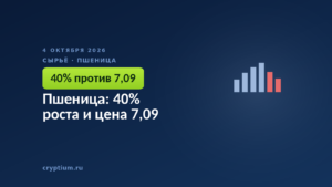 Пшеница: 40% роста и цена 7,09