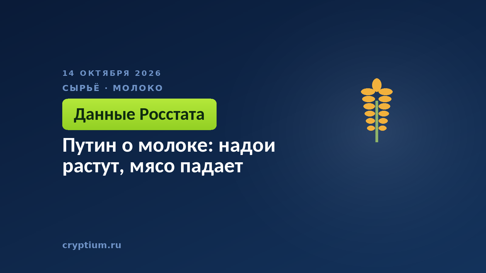 Путин о молоке: надои растут, мясо падает