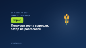 Погрузки зерна выросли, затор не рассосался