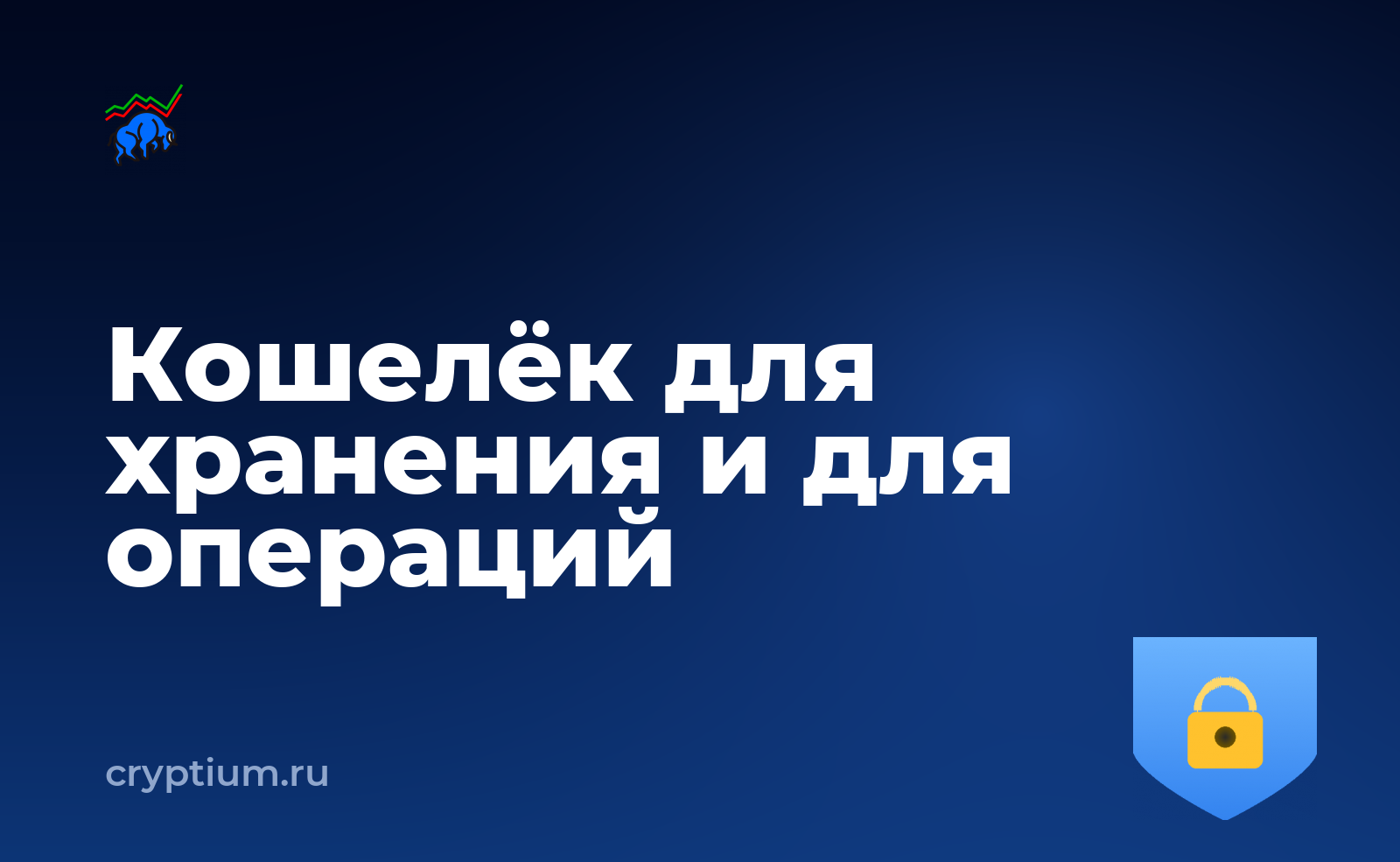 Как разграничить кошелёк для хранения и кошелёк для операций — обложка материала