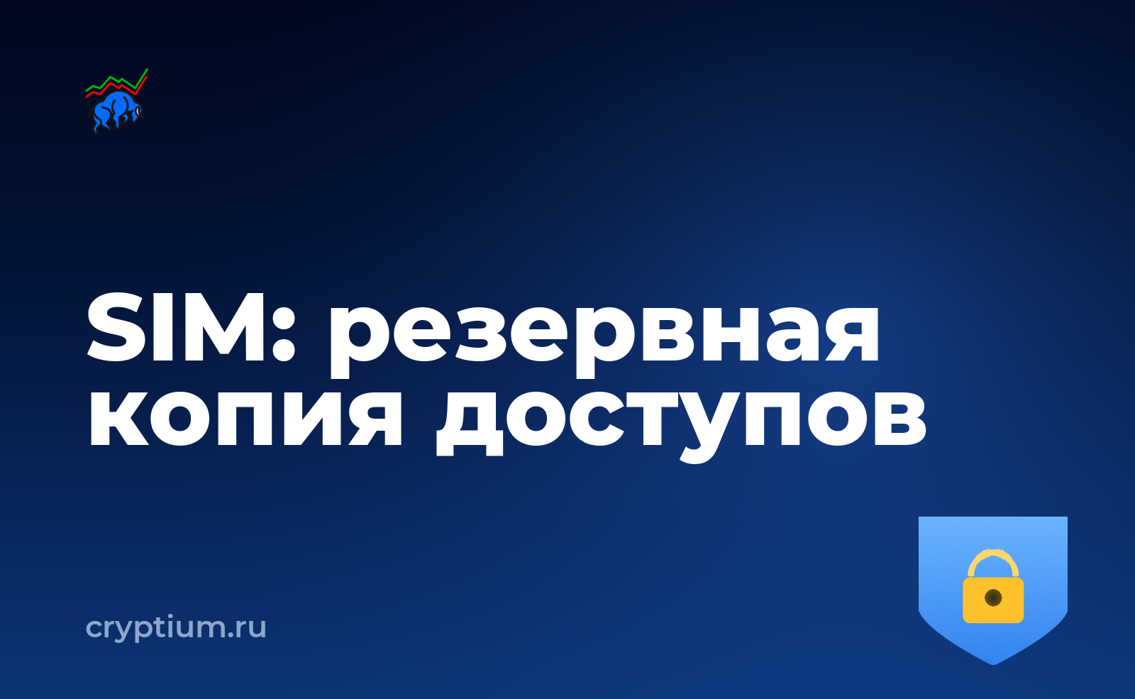 Как защититься от подмены SIM-карты и сделать резервную копию — обложка материала
