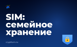Как защититься от подмены SIM-карты для семейного хранения — обложка материала