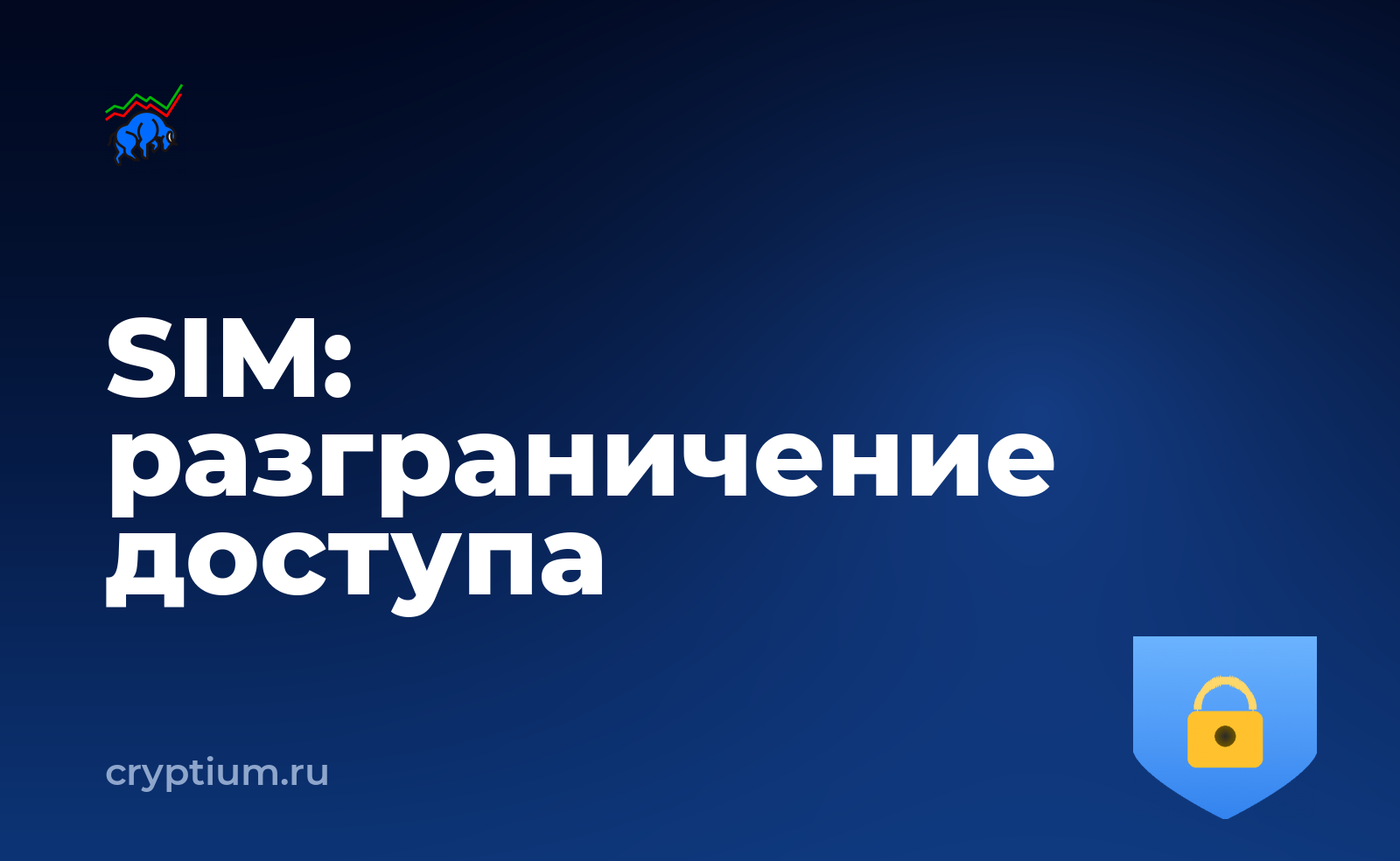 Как защититься от подмены SIM-карты и разграничить доступ — обложка материала