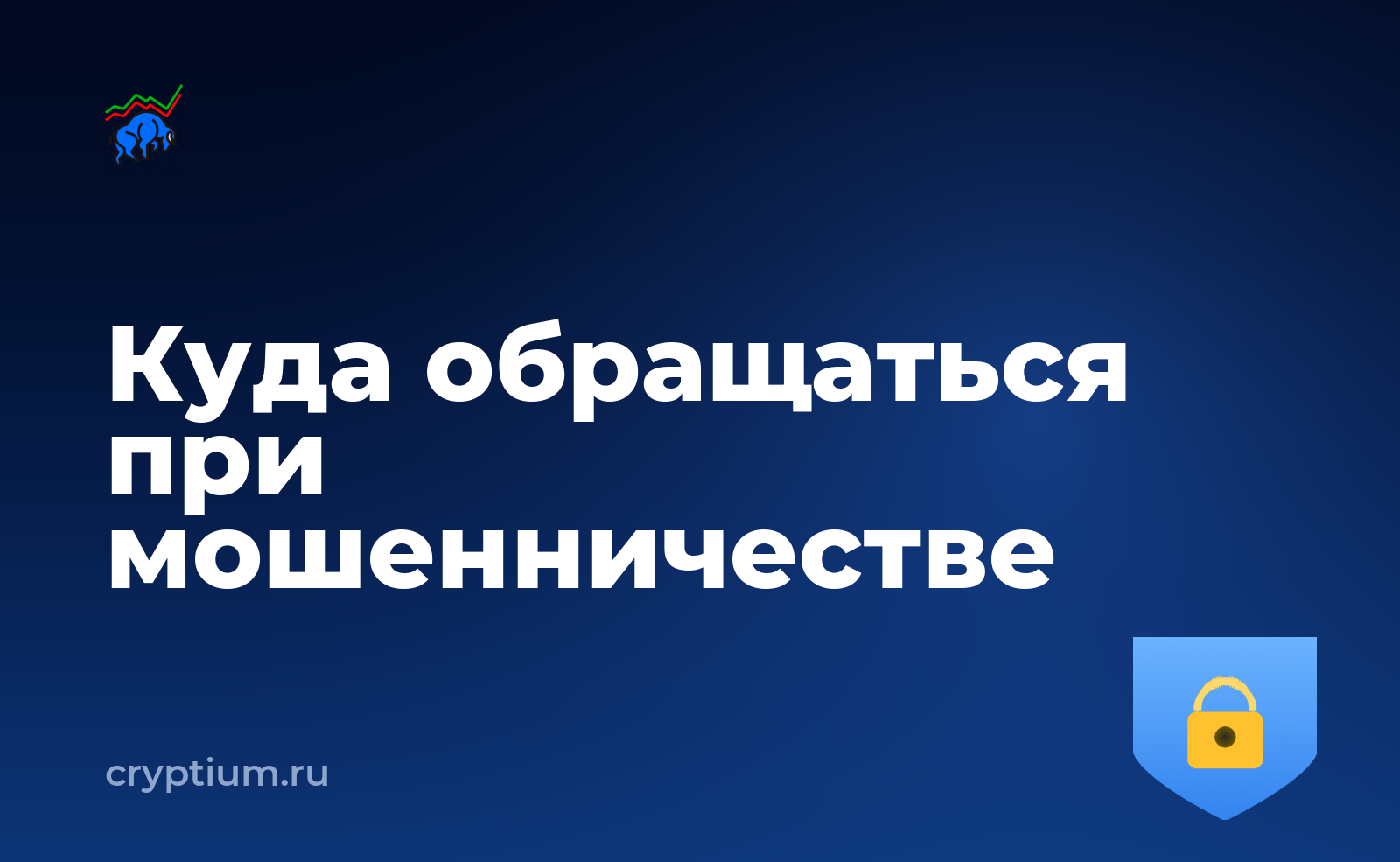 Куда обращаться при мошенничестве с криптовалютой и что подготовить заранее — обложка материала